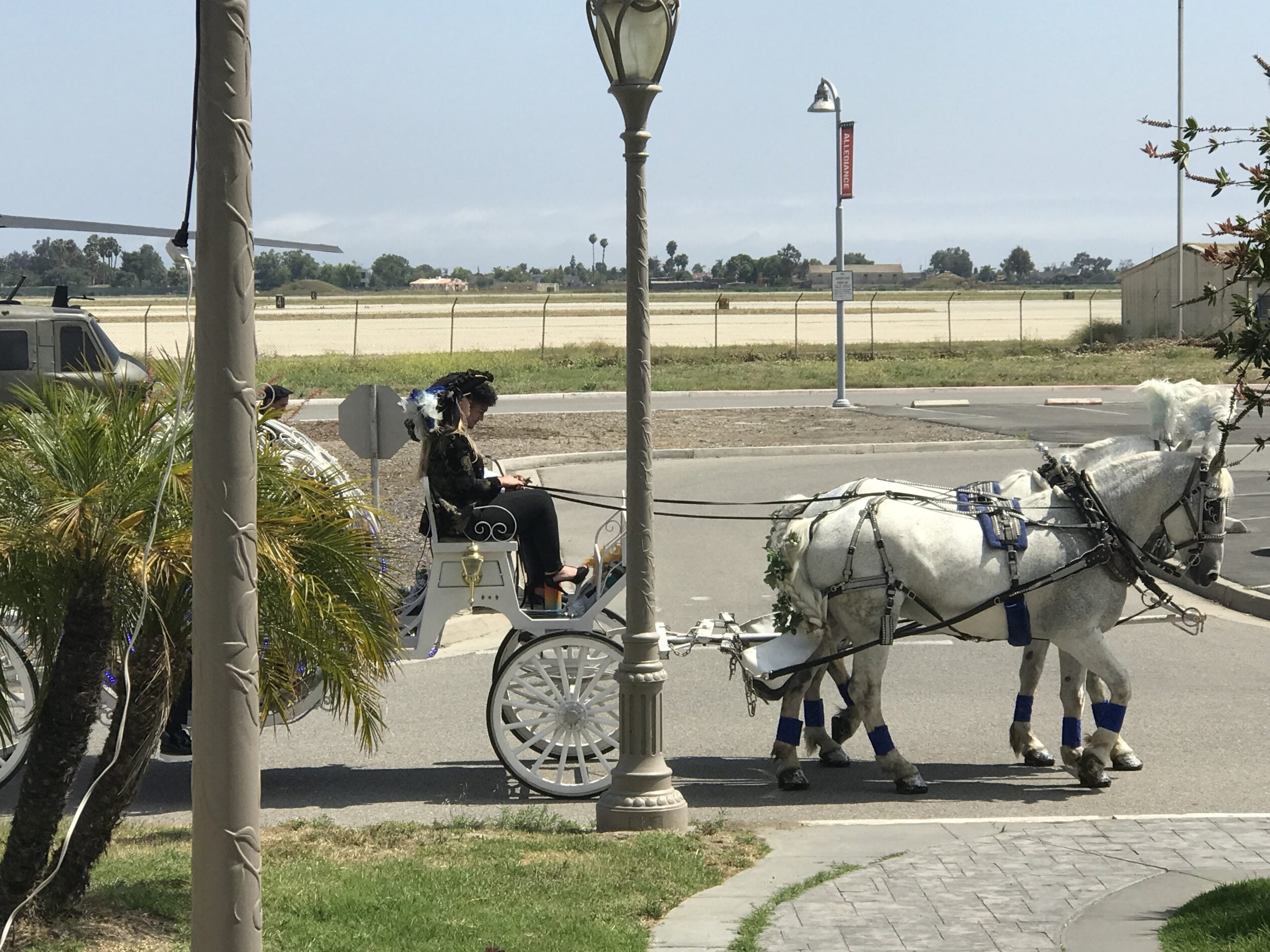 Horse and carriage outside the banquet venue for a previous celebration