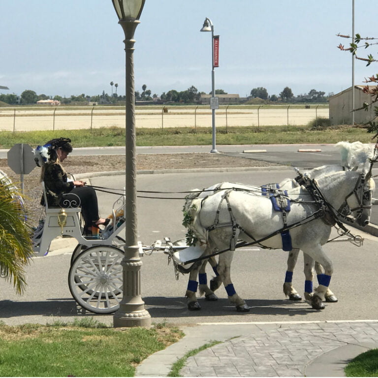Horse and Carriage Rentals (not provided by us)